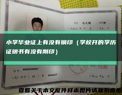 小学毕业证上有没有钢印（学校开的学历证明书有没有刚印）缩略图