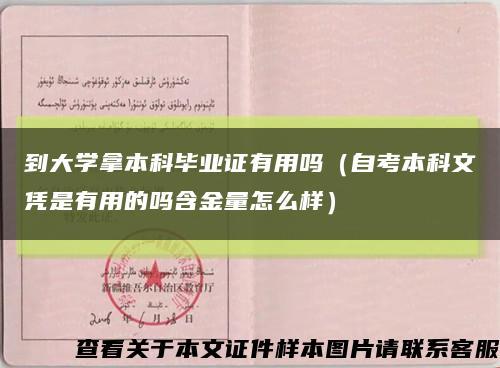 到大学拿本科毕业证有用吗（自考本科文凭是有用的吗含金量怎么样）缩略图