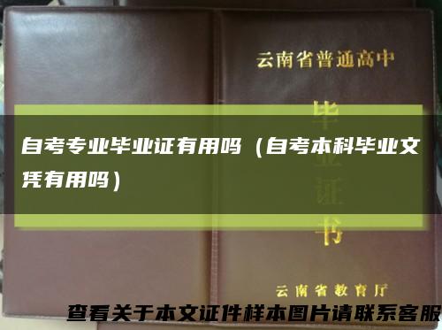 自考专业毕业证有用吗（自考本科毕业文凭有用吗）缩略图