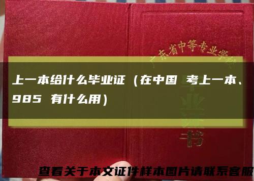 上一本给什么毕业证（在中国 考上一本、985 有什么用）缩略图