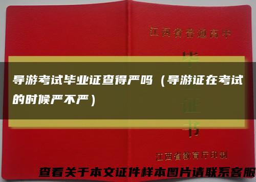 导游考试毕业证查得严吗（导游证在考试的时候严不严）缩略图