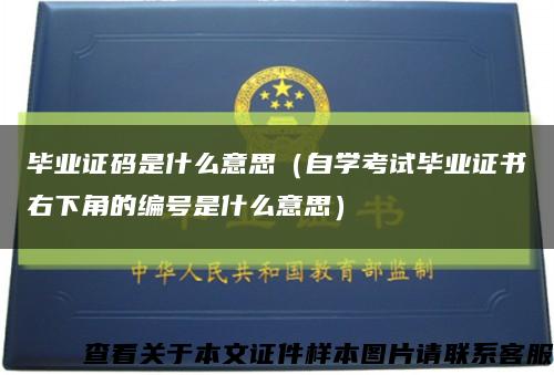 毕业证码是什么意思（自学考试毕业证书右下角的编号是什么意思）缩略图