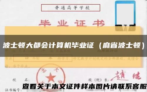 波士顿大都会计算机毕业证（麻省波士顿）缩略图