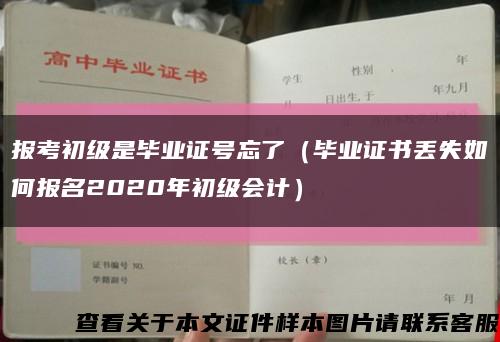 报考初级是毕业证号忘了（毕业证书丢失如何报名2020年初级会计）缩略图