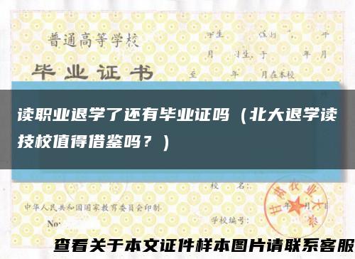 读职业退学了还有毕业证吗（北大退学读技校值得借鉴吗？）缩略图