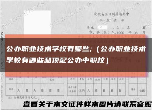 公办职业技术学校有哪些;（公办职业技术学校有哪些和顶配公办中职校）缩略图