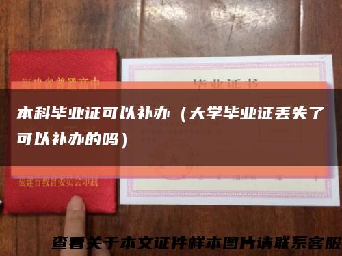 本科毕业证可以补办（大学毕业证丢失了可以补办的吗）缩略图