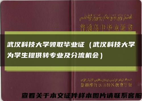 武汉科技大学领取毕业证（武汉科技大学为学生提供转专业及分流机会）缩略图