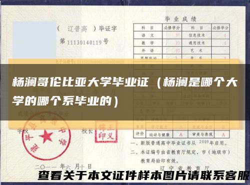 杨澜哥伦比亚大学毕业证（杨澜是哪个大学的哪个系毕业的）缩略图