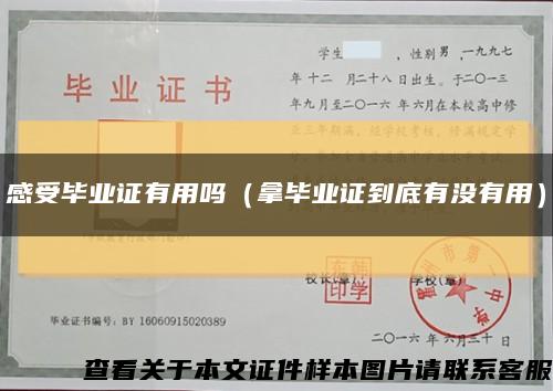 感受毕业证有用吗（拿毕业证到底有没有用）缩略图