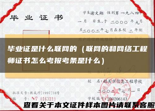 毕业证是什么联网的（联网的和网络工程师证书怎么考报考条是什么）缩略图