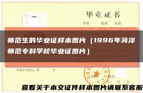 师范生的毕业证样本图片（1996年菏泽师范专科学校毕业证图片）缩略图