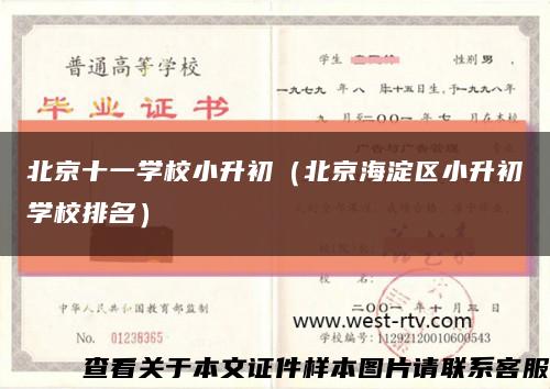 北京十一学校小升初（北京海淀区小升初学校排名）缩略图