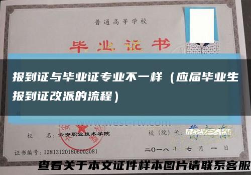 报到证与毕业证专业不一样（应届毕业生报到证改派的流程）缩略图