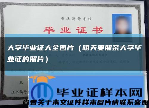 大学毕业证大全图片（明天要照杂大学毕业证的照片）缩略图