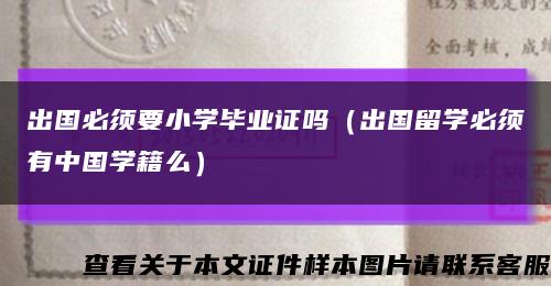 出国必须要小学毕业证吗（出国留学必须有中国学籍么）缩略图