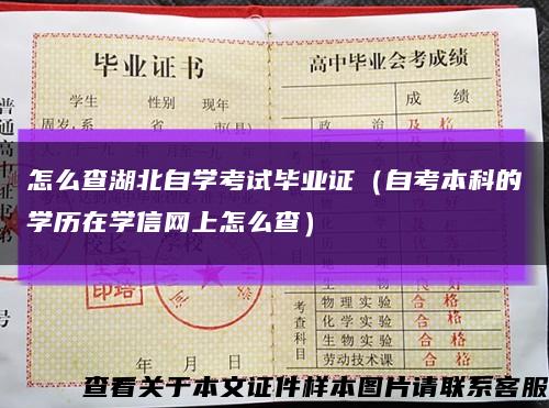 怎么查湖北自学考试毕业证（自考本科的学历在学信网上怎么查）缩略图