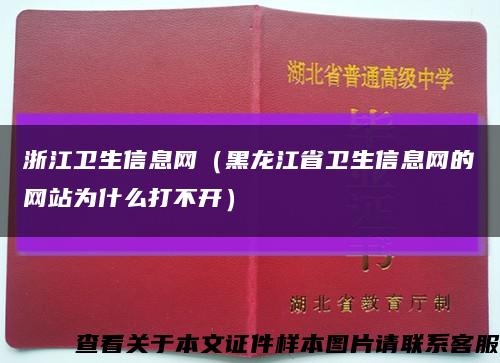 浙江卫生信息网（黑龙江省卫生信息网的网站为什么打不开）缩略图