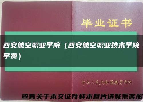 西安航空职业学院（西安航空职业技术学院学费）缩略图