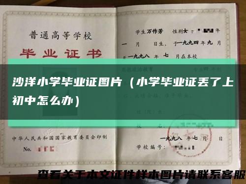 沙洋小学毕业证图片（小学毕业证丢了上初中怎么办）缩略图