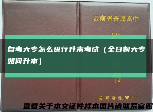 自考大专怎么进行升本考试（全日制大专如何升本）缩略图