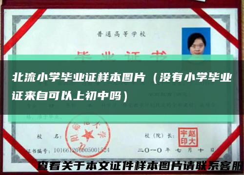 北流小学毕业证样本图片（没有小学毕业证来自可以上初中吗）缩略图