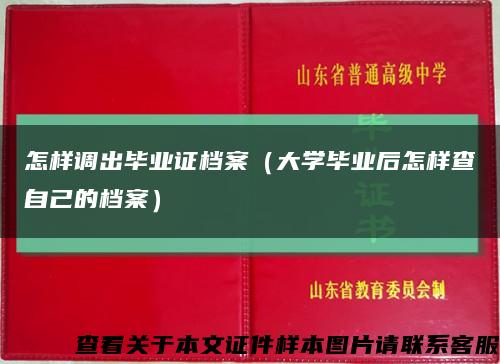 怎样调出毕业证档案（大学毕业后怎样查自己的档案）缩略图