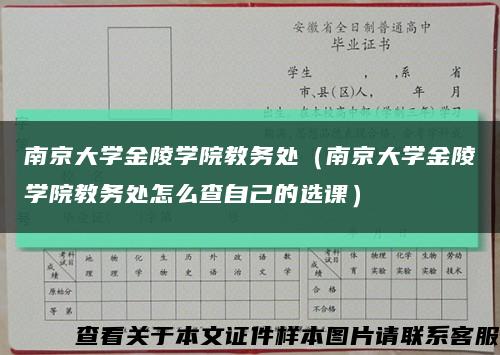 南京大学金陵学院教务处（南京大学金陵学院教务处怎么查自己的选课）缩略图