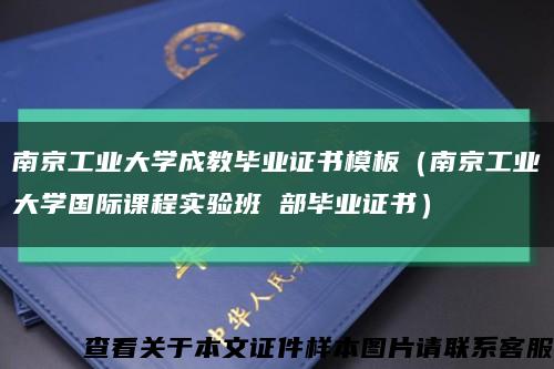 南京工业大学成教毕业证书模板（南京工业大学国际课程实验班 部毕业证书）缩略图