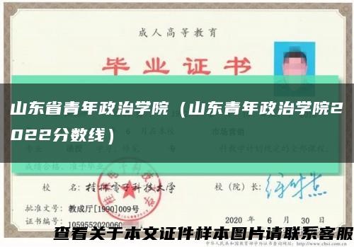 山东省青年政治学院（山东青年政治学院2022分数线）缩略图