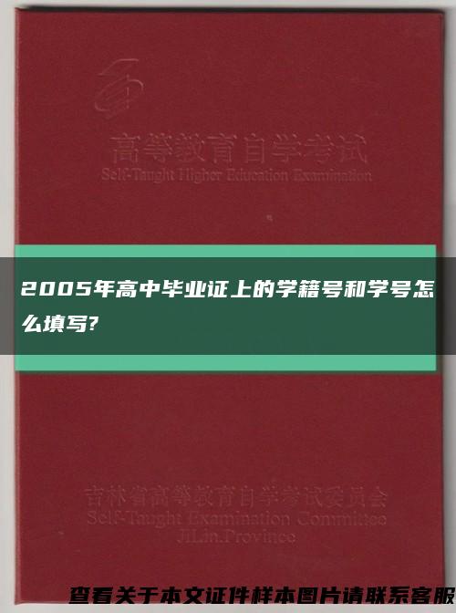 2005年高中毕业证上的学籍号和学号怎么填写?缩略图