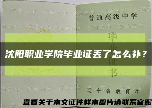 沈阳职业学院毕业证丢了怎么补？缩略图