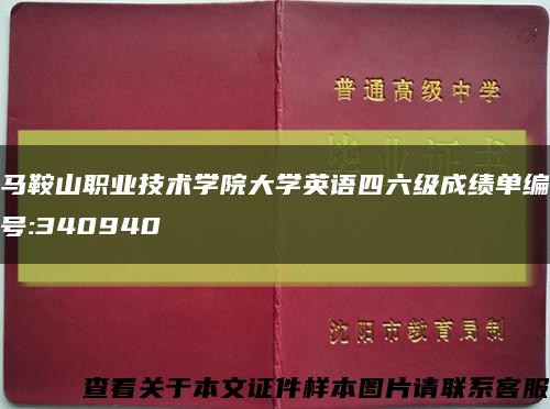 马鞍山职业技术学院大学英语四六级成绩单编号:340940缩略图