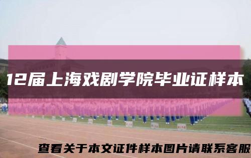 12届上海戏剧学院毕业证样本缩略图