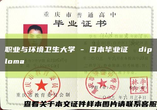 职业与环境卫生大学 - 日本毕业证  diploma缩略图