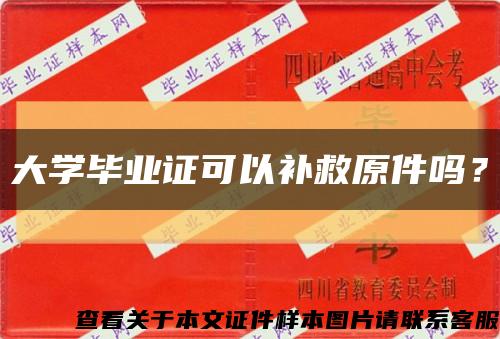 大学毕业证可以补救原件吗？缩略图