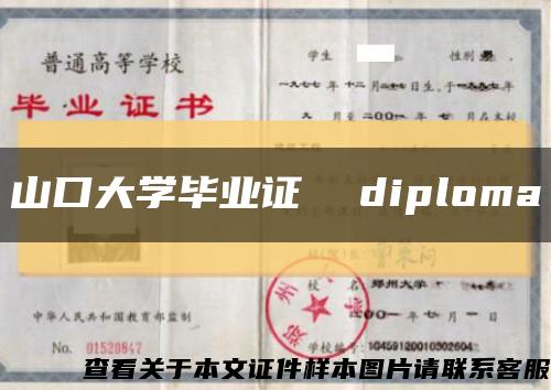 山口大学毕业证  diploma缩略图