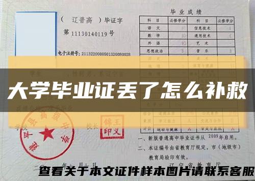 大学毕业证丢了怎么补救缩略图