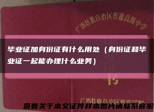 毕业证加身份证有什么用处（身份证和毕业证一起能办理什么业务）缩略图