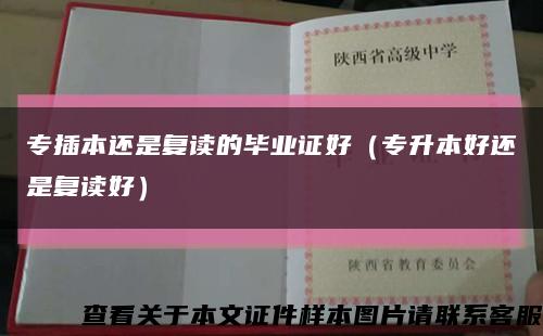 专插本还是复读的毕业证好（专升本好还是复读好）缩略图