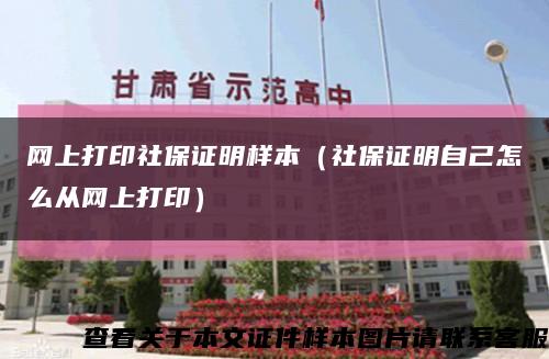 网上打印社保证明样本（社保证明自己怎么从网上打印）缩略图