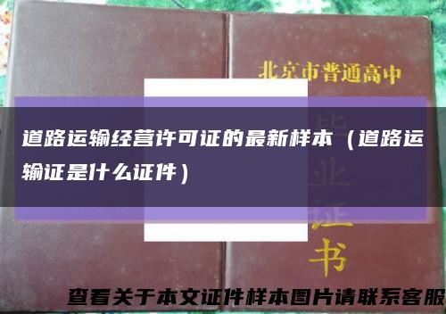 道路运输经营许可证的最新样本（道路运输证是什么证件）缩略图