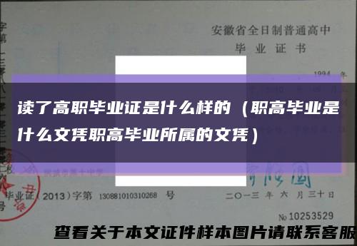 读了高职毕业证是什么样的（职高毕业是什么文凭职高毕业所属的文凭）缩略图