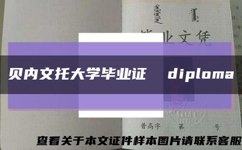 贝内文托大学毕业证  diploma缩略图