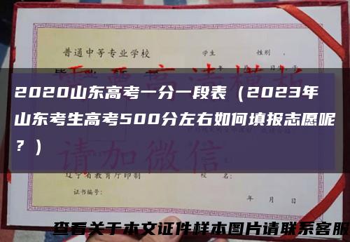 2020山东高考一分一段表（2023年山东考生高考500分左右如何填报志愿呢？）缩略图