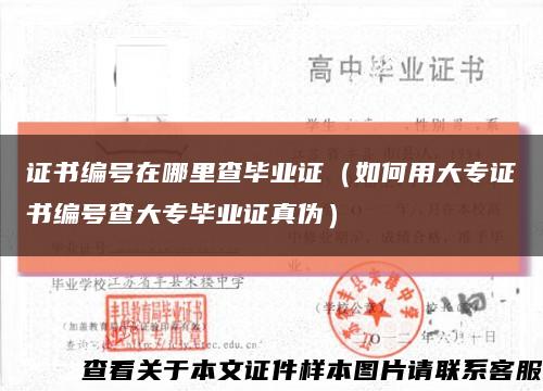 证书编号在哪里查毕业证（如何用大专证书编号查大专毕业证真伪）缩略图