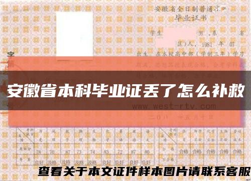 安徽省本科毕业证丢了怎么补救缩略图