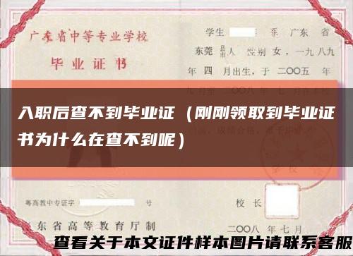 入职后查不到毕业证（刚刚领取到毕业证书为什么在查不到呢）缩略图