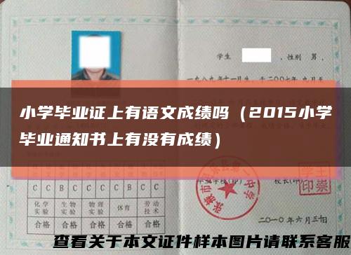 小学毕业证上有语文成绩吗（2015小学毕业通知书上有没有成绩）缩略图