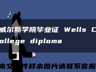 威尔斯学院毕业证 Wells College diploma缩略图